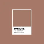 Mocha mousse: il Pantone del 2025 e gli abbinamenti per il graphic design